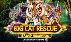 Imagem do jogo Big Cat Rescue Megaways disponível na plataforma segurobet